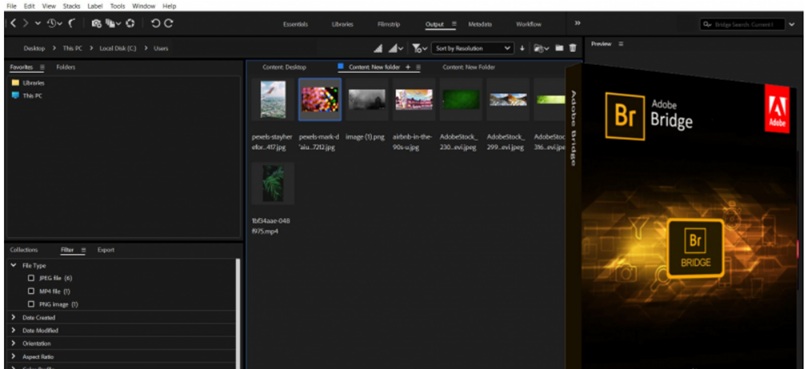adobe bridge 2026 full crack