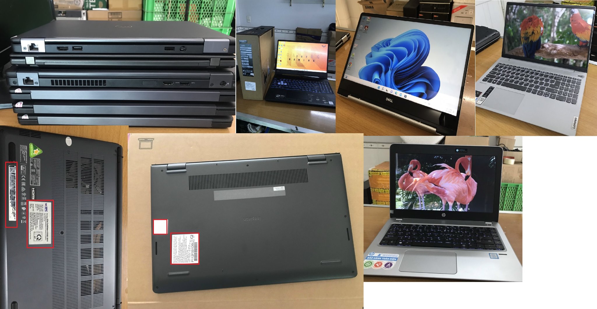 thay pin laptop giá sinh viên tại bình thạnh